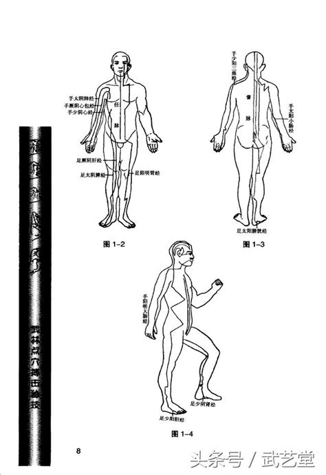 點穴|點穴術:秘傳口訣,實戰技法,點打枕骨穴,點打啞門穴,點打風池穴,點。